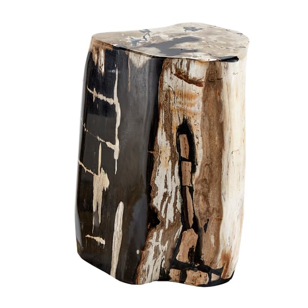 Petrified Log Side Table, Side Table or Stool