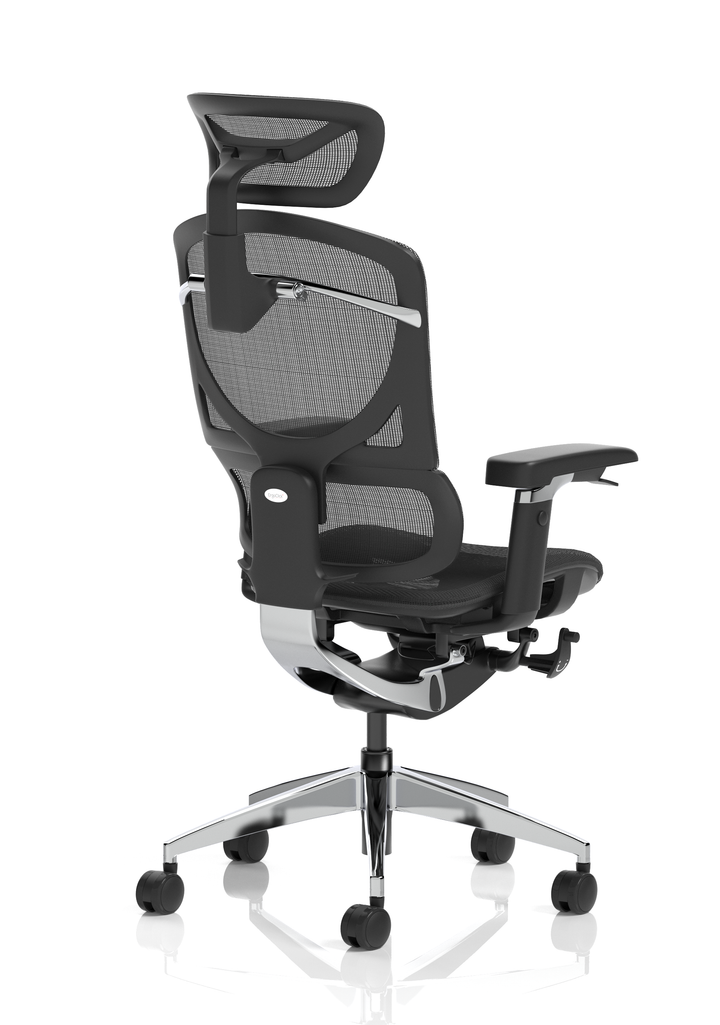 Ergo Click Plus High Back Ergonomic Posture Office Chair with Arms and Headrest