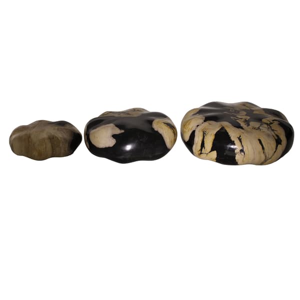 Petrified Wood Stone Set, Decorative Accessory