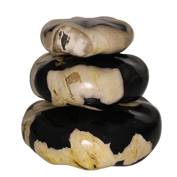Petrified Wood Stone Set, Decorative Accessory