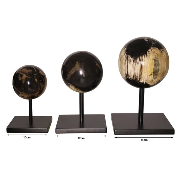 Petrified Wood Sphere, Decorative accessory, Medium