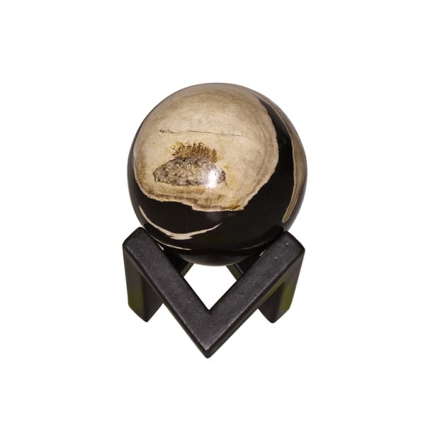 Petrified Wood Sphere, Decorative Accessory, Small