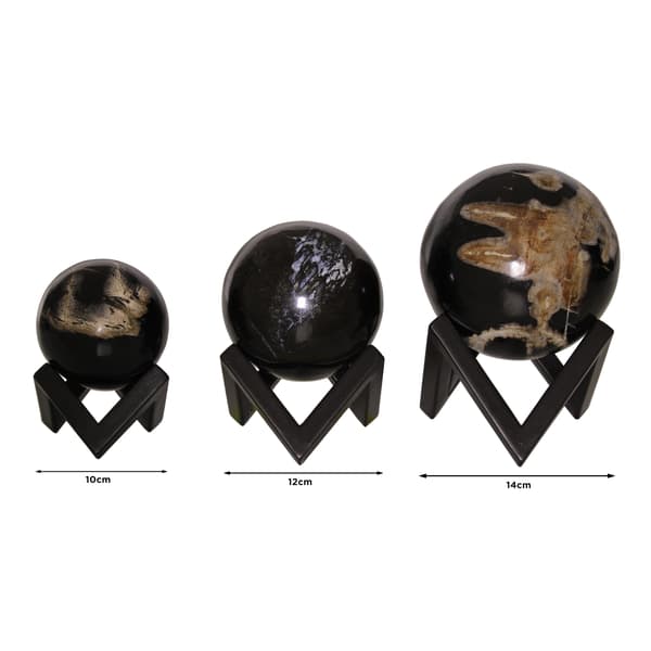Petrified Wood Sphere, Decorative accessory, Medium