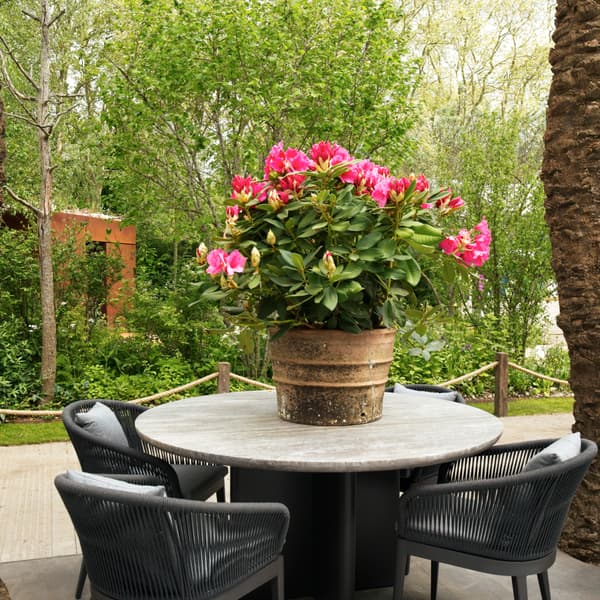 Outdoor Cover Caicos Round Dining Table, Outdoor Cover - Andrew Martin