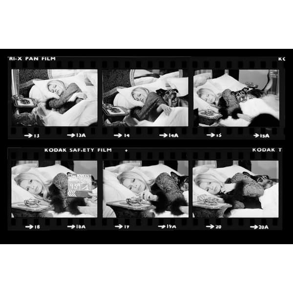 Chasing Rabbits - Brigitte Bardot, Photographic Artwork, Black & White - Andrew Martin