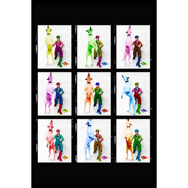 Rainbowie - David Bowie, Photographic Artwork, Multicoloured - Andrew Martin