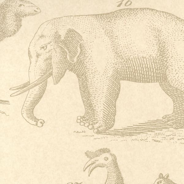 Ark Sand, Wallpaper - Andrew Martin