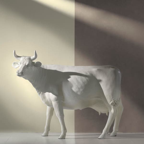 Japan Ivory, Wallpaper - Andrew Martin