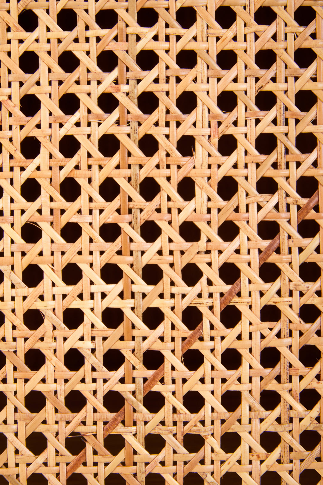 Pigeon 2 Door Natural Rattan And Oak Cabinet