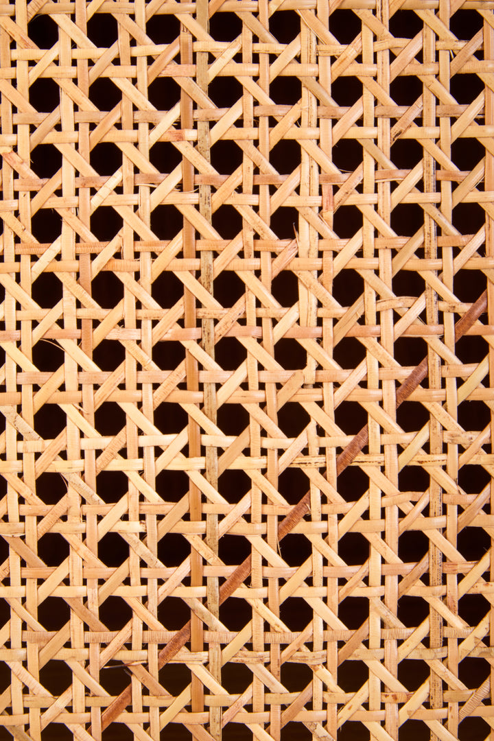Pigeon 2 Door Natural Rattan And Oak Cabinet