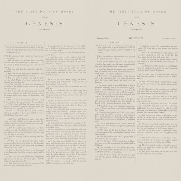 Genesis, Wallpaper, Light Neutral - Andrew Martin