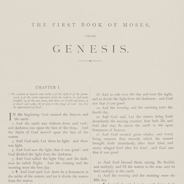 Genesis, Wallpaper, Light Neutral - Andrew Martin
