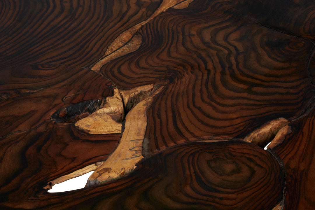 Floyd Sonokeling Root Coffee Table