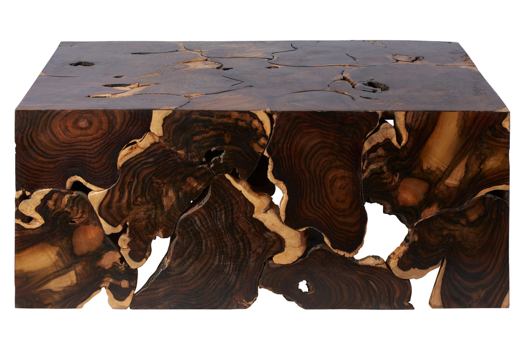 Floyd Sonokeling Root Coffee Table