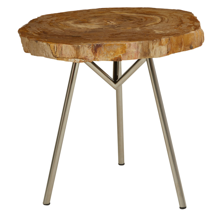 Jasper Medium Petrified Wood Side Table