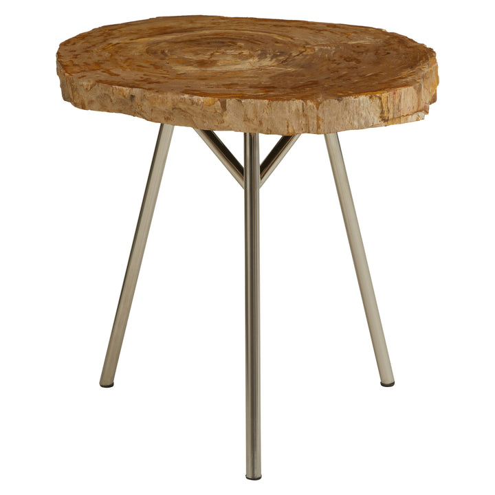 Jasper Medium Petrified Wood Side Table