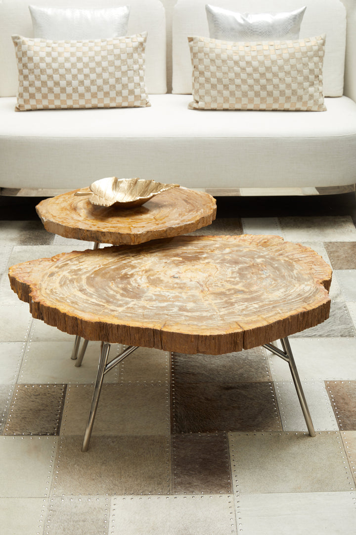 Jasper Medium Petrified Wood Side Table