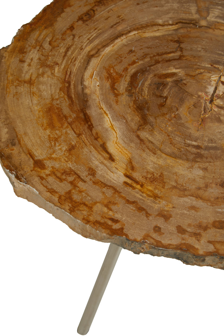 Jasper Medium Petrified Wood Side Table