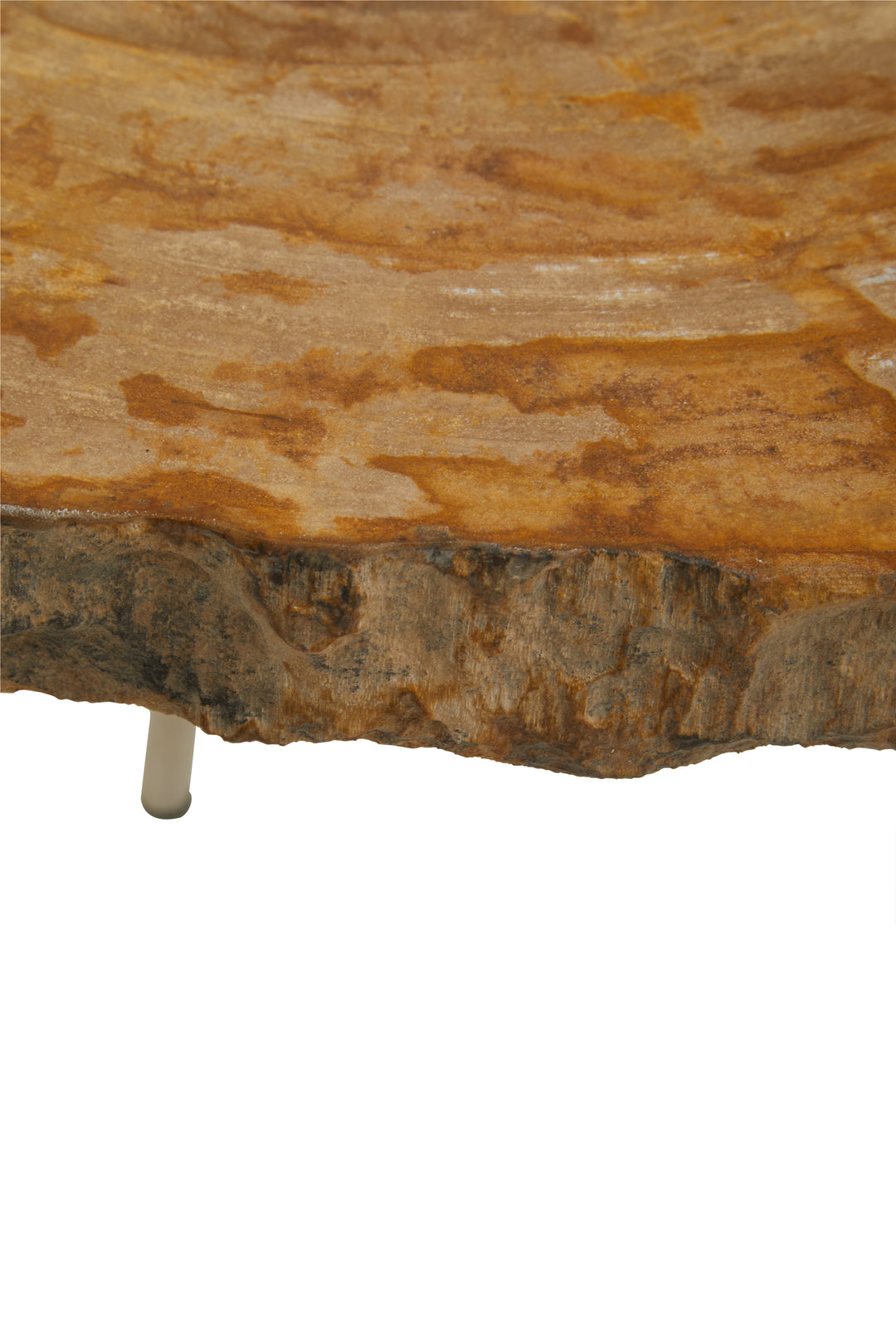 Jasper Medium Petrified Wood Side Table