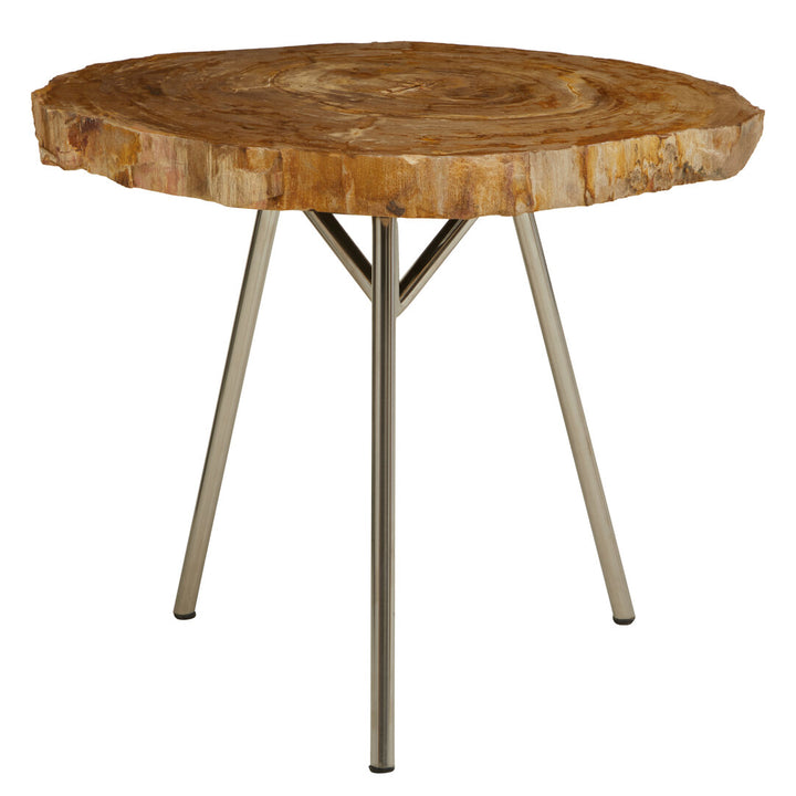 Jasper Medium Petrified Wood Side Table