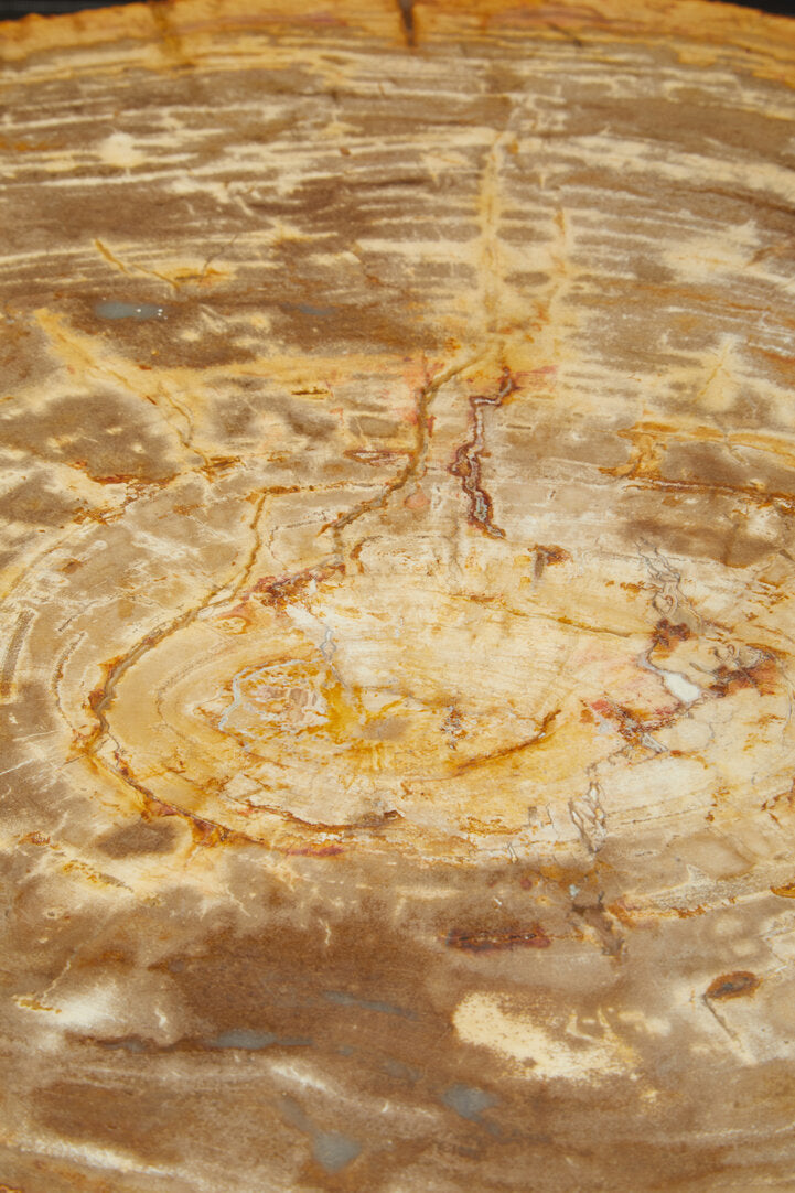Jasper Coffee Table