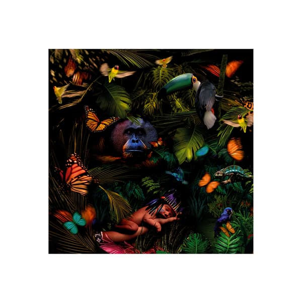 Sleeping Beauty 120X120 - Plexiglass, 120cm x 120cm - Andrew Martin