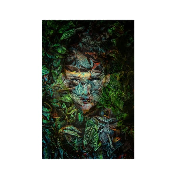 Camouflage 120X180 - Plexiglass, 120cm x 180cm - Andrew Martin