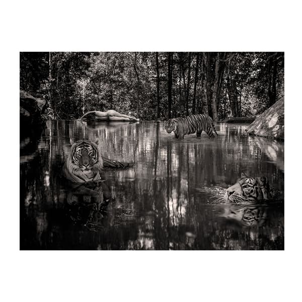 Lost In Paradise 200X150 - Plexiglass, 200cm x 150cm - Andrew Martin