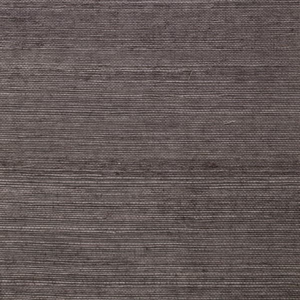 Zulu Spider, Wallpaper - Andrew Martin