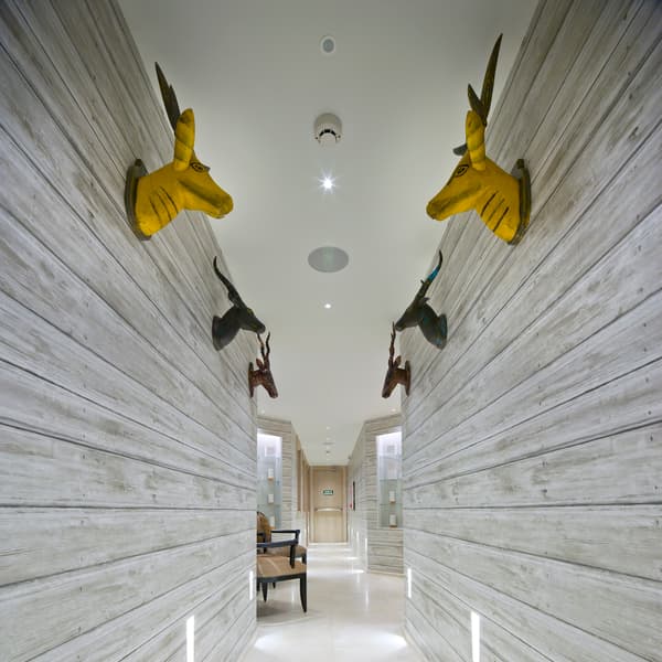 Timber Limed, Wallpaper - Andrew Martin