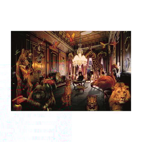 Animal Kingdom, Plexiglass Artwork, 150cm x 100cm - Andrew Martin