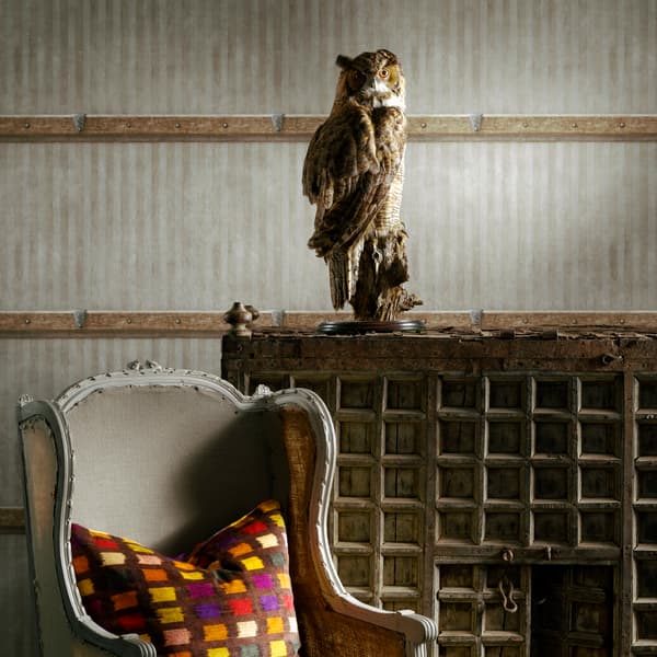 Steamer Leather, Fabric - Andrew Martin