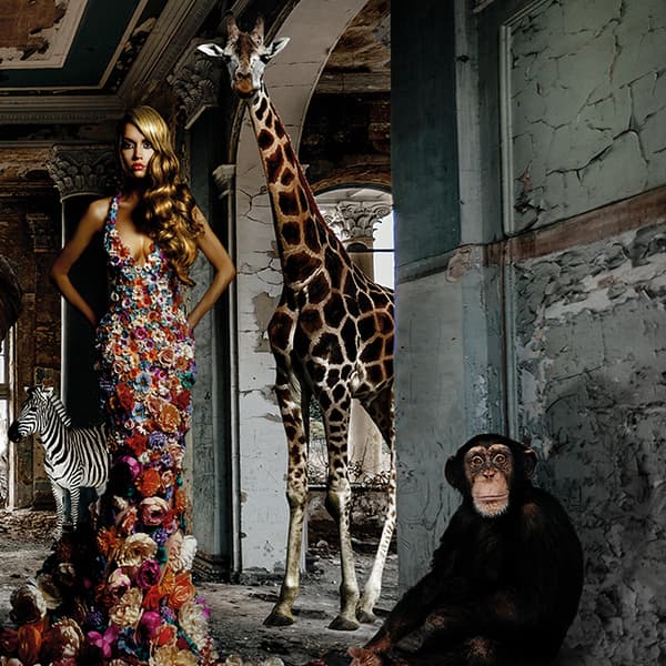 Animal Afternoon, 200cm x 100cm - Andrew Martin