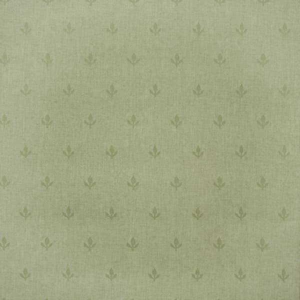 Crocus Leaf, Wallpaper - Andrew Martin