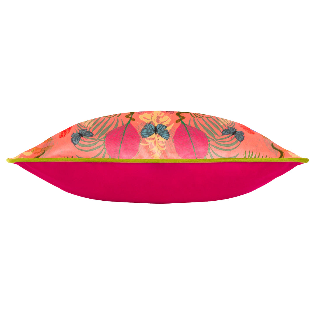 KM EXOTIC CANOPY 43X43 PIPED CCASE