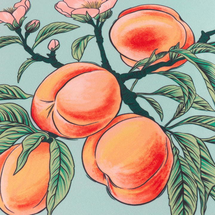 Anemone Peaches 45x45 Outdoor Cushion Case Multi - image 5