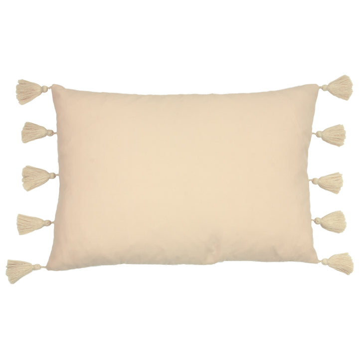 ASHRAM EYE 35X50 CUSHION CASE BLUSH
