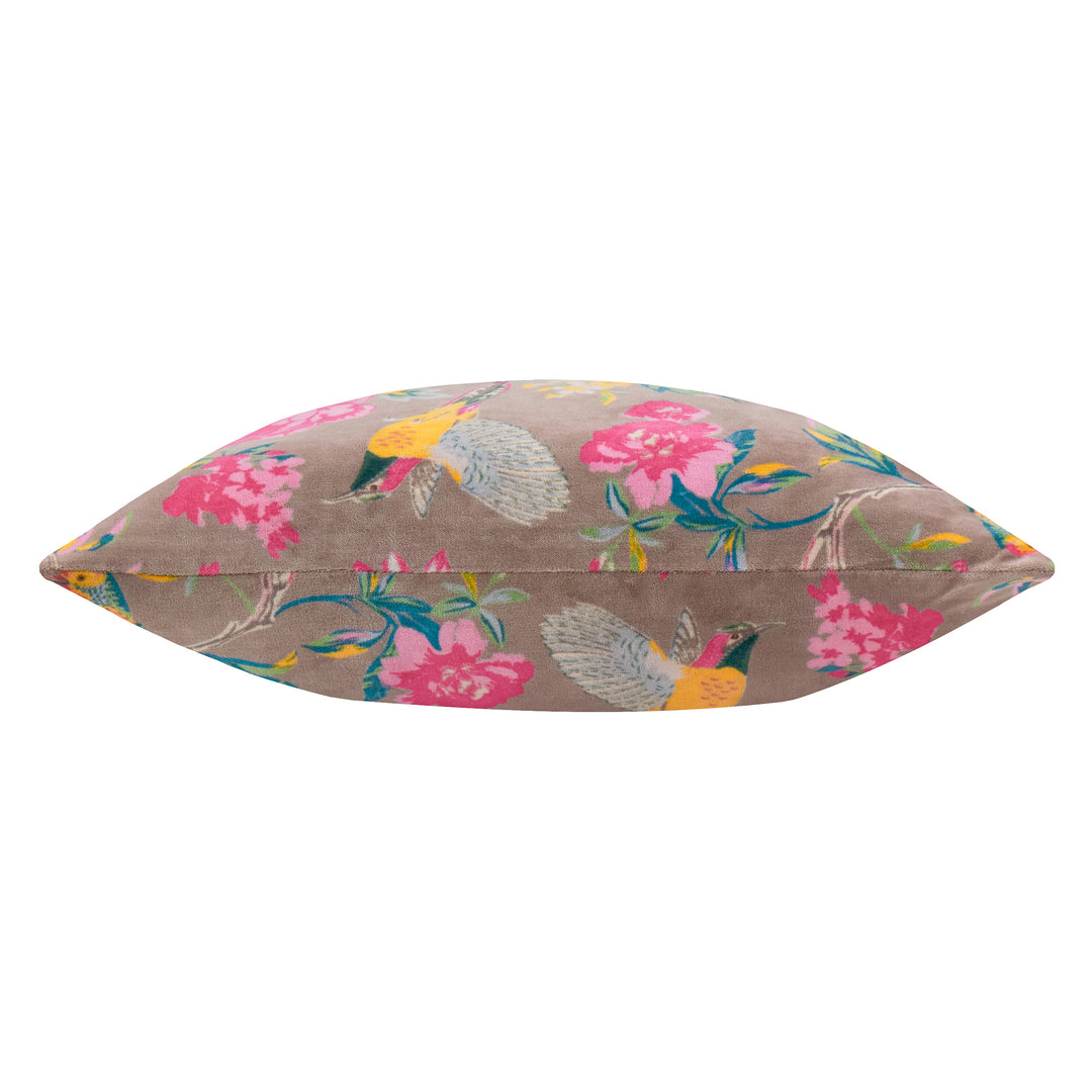 Aviary 50x50 Cushion Case Mink - image 3