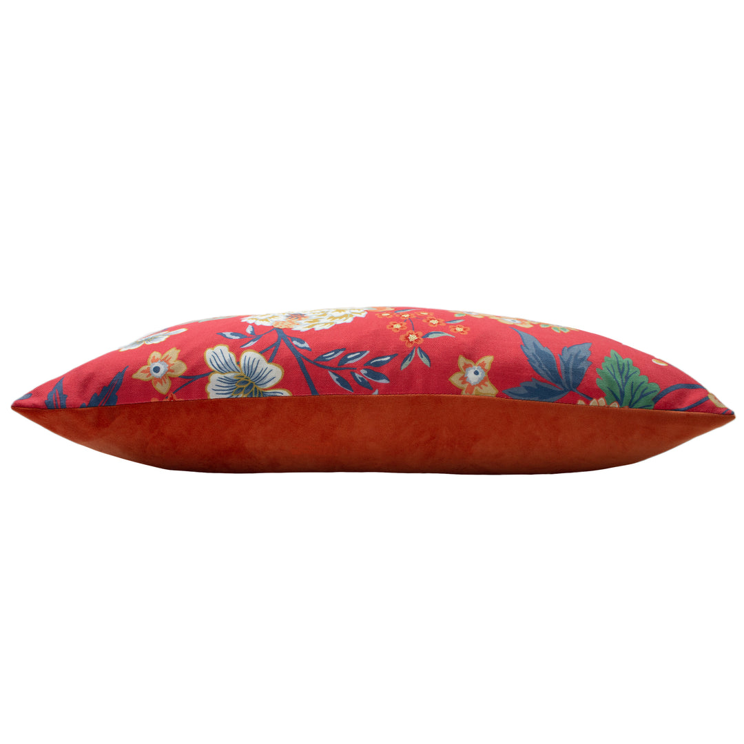 AZALEA 40X60 CCASE RED