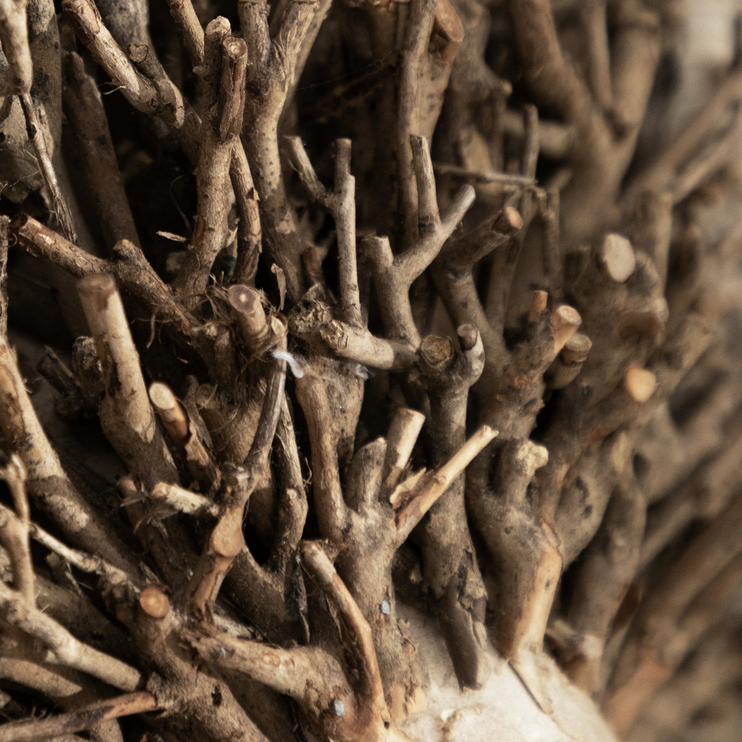 BETTY WOODEN SCULPTURE