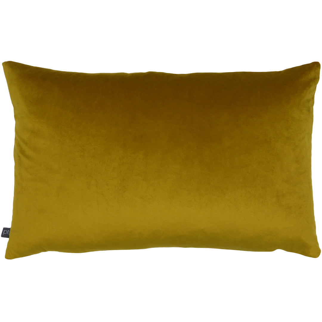 BLAKE 40X60 C/CASE AMBER
