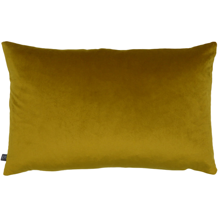 BLAKE 40X60 C/CASE AMBER
