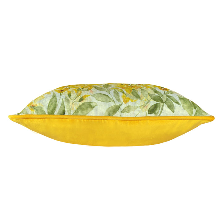 BLOSSOMS LABURNUM 43X33 C/CASE YELLOW