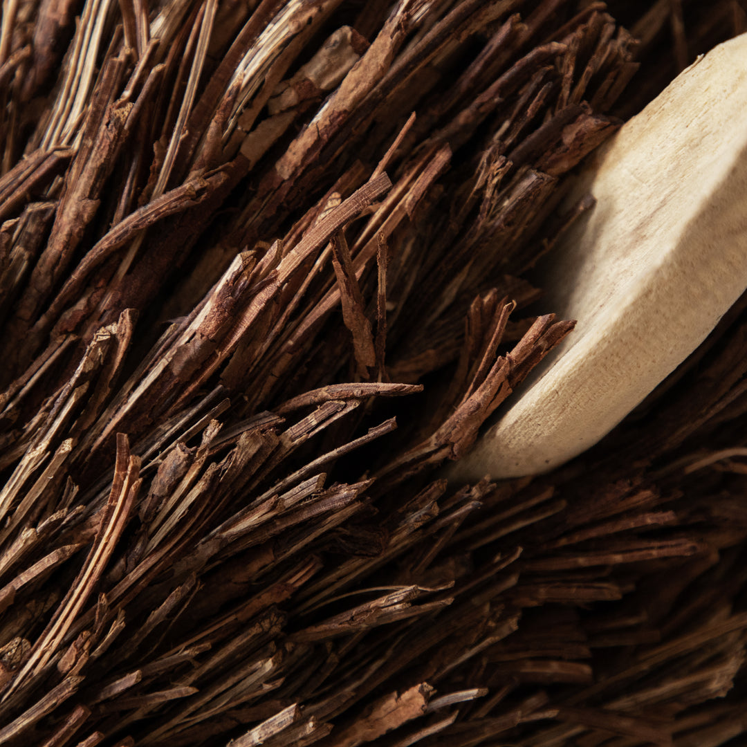 CAMPBELL STANDING STAG WOODEN SCULPTURE