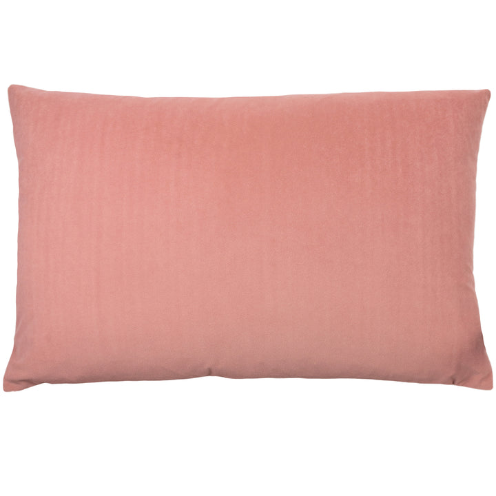 CONTRA 40X60 C/CASE BLUSH