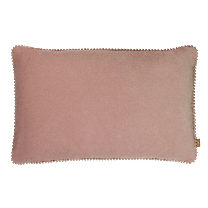 COSMO 30X50 C/CASE BLUSH