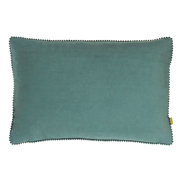 COSMO 30X50 C/CASE BLUE