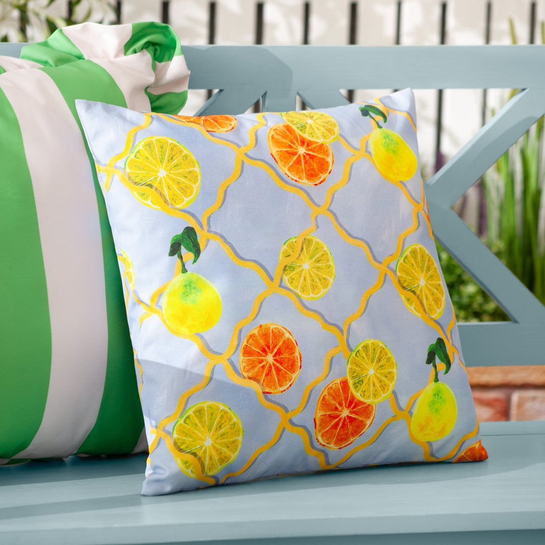 Citrus Trellis 45x45 Outdoor Cushion Case Blue