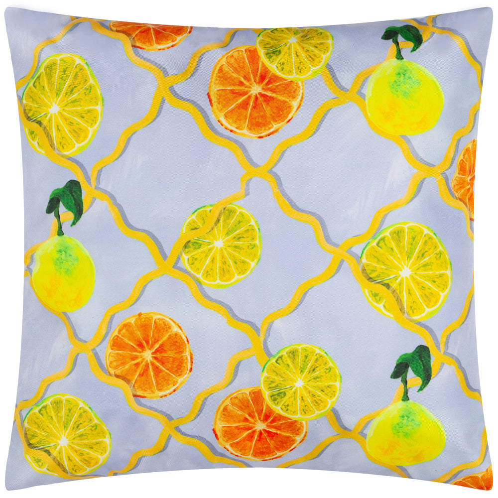 Citrus Trellis 45x45 Outdoor Cushion Case Blue - image 2
