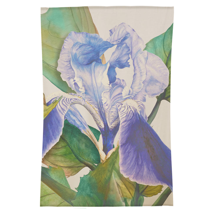DARWEN CORNFLOWER 120X180 RUG BLUE